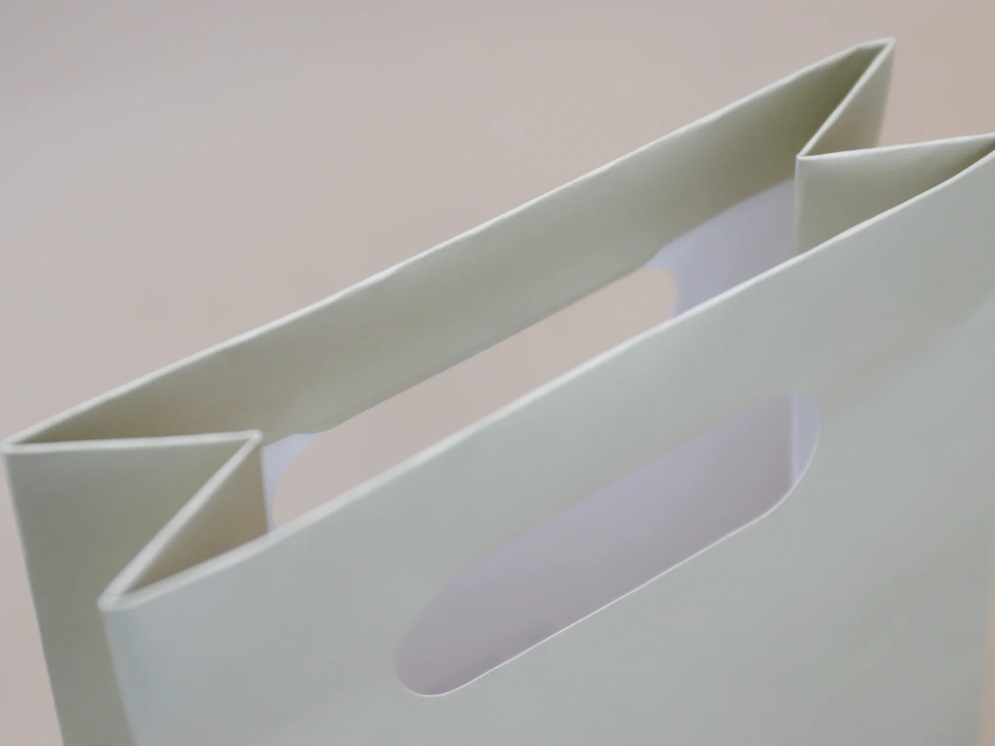 플러츠 손잡이타공 쇼핑백 쇼핑백 제작 사례 - 방산포장