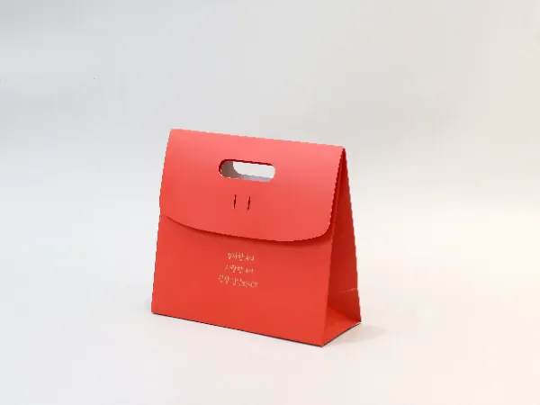 딜라이트오 손잡이 타공 쇼핑백