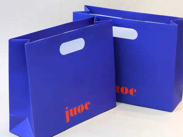 주옥 손잡이 쇼핑백 쇼핑백 패키지 제작 - 방산포장 2
